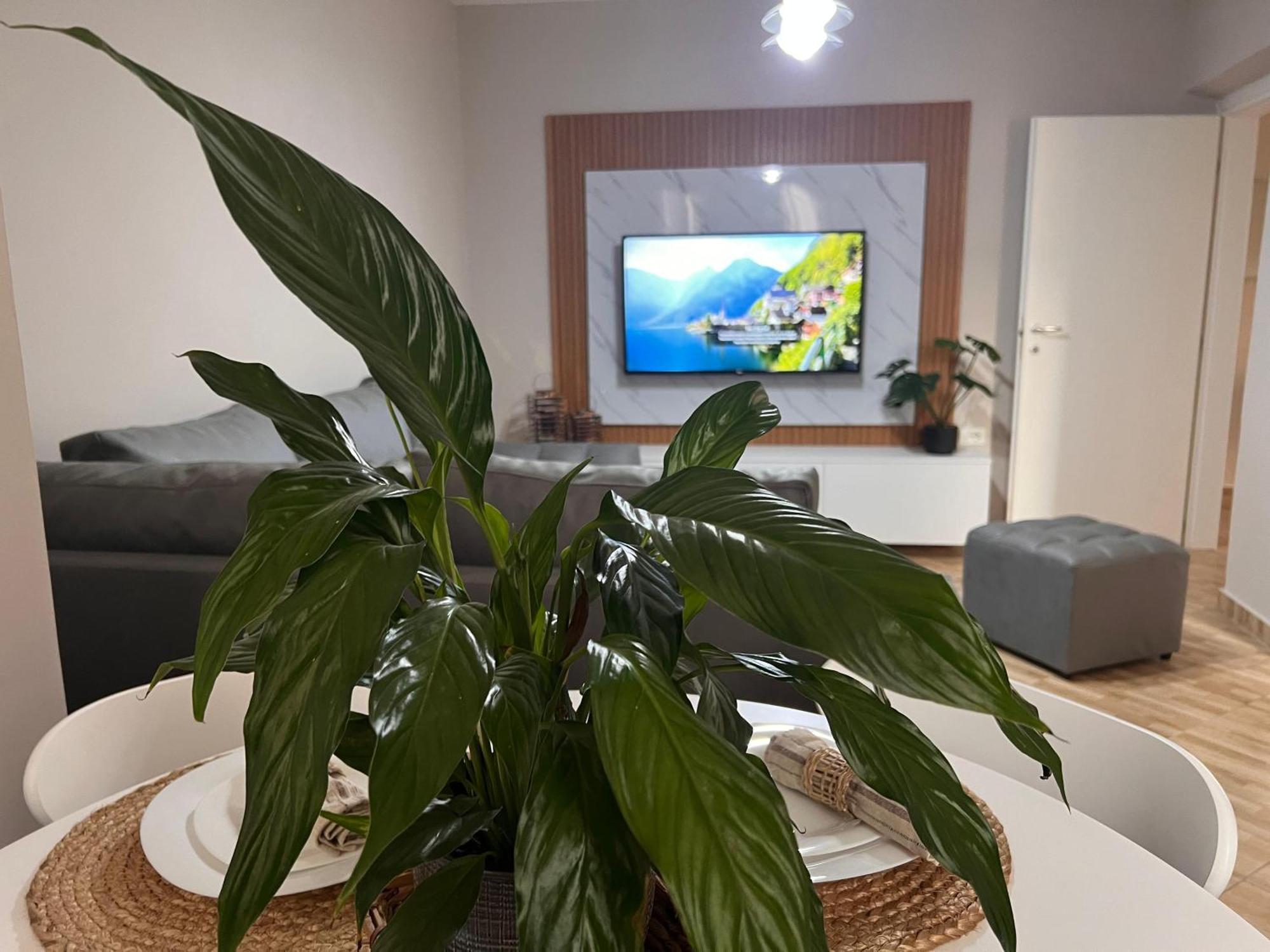 New Modern Tirana Apartment Luaran gambar